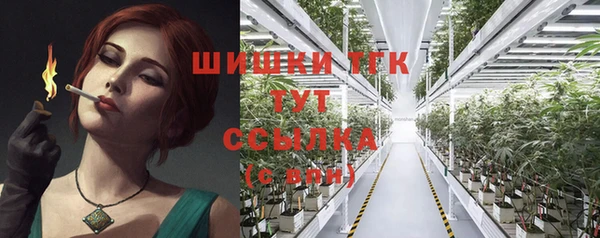 гидропоника Лагань