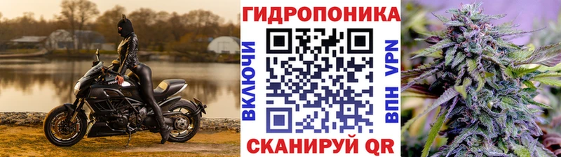 Купить Алексеевка Марихуана индика